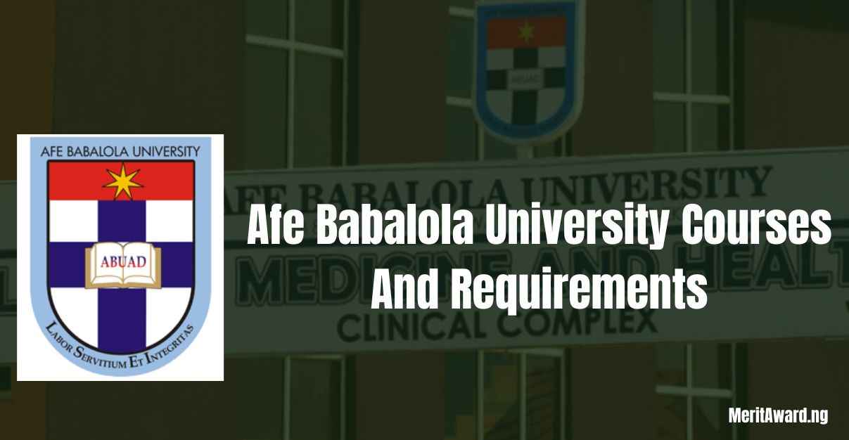 Afe Babalola University Courses