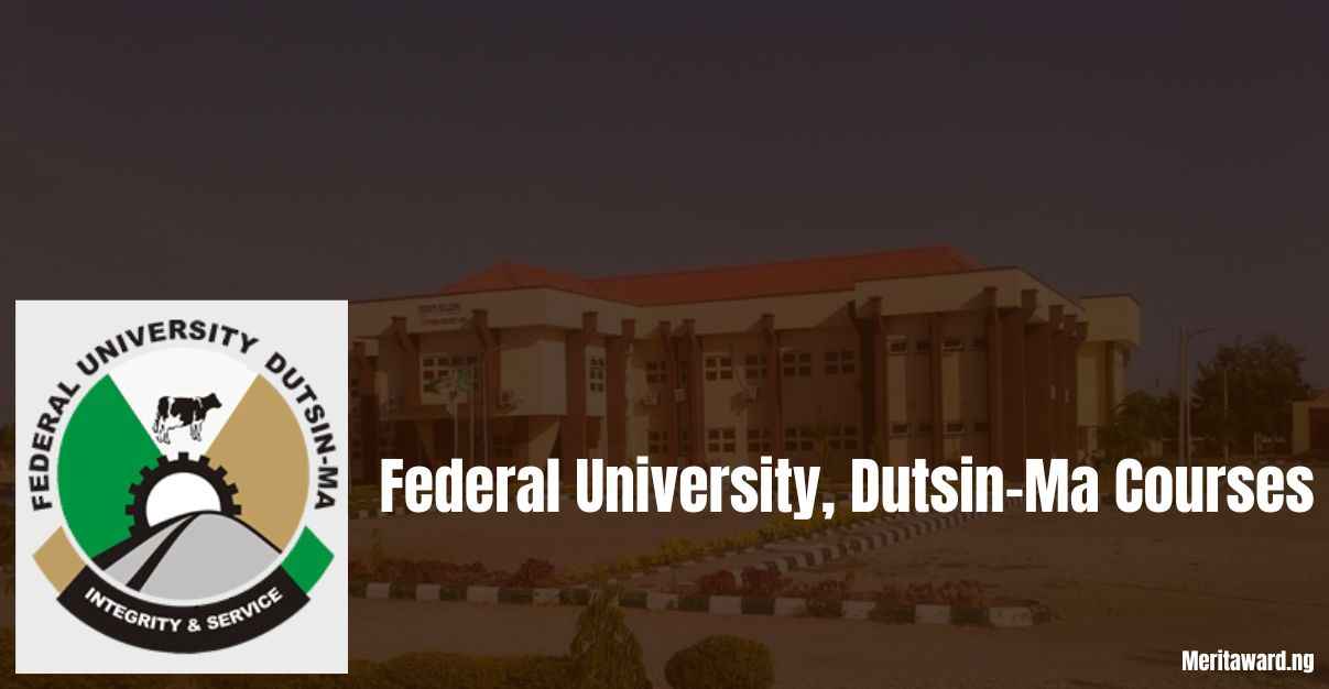 Federal University, Dutsin-Ma Courses