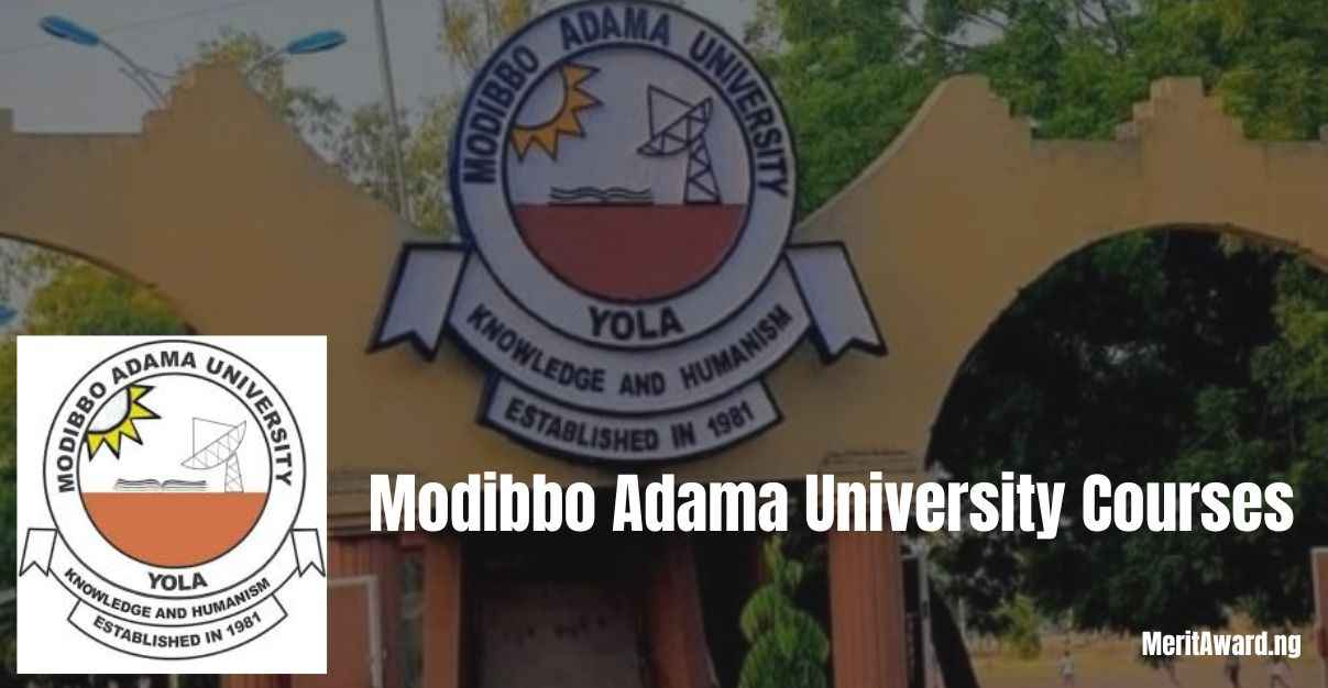 Modibbo Adama University Courses
