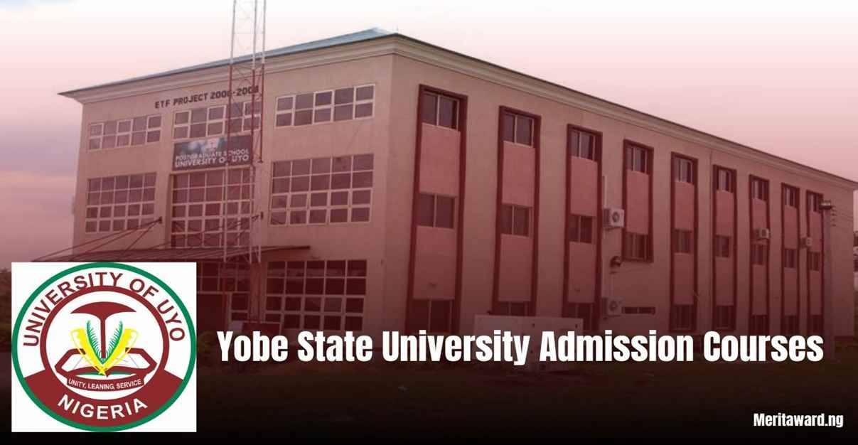 Yobe State University Courses