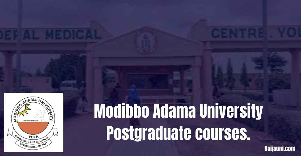 Modibbo Adama University
